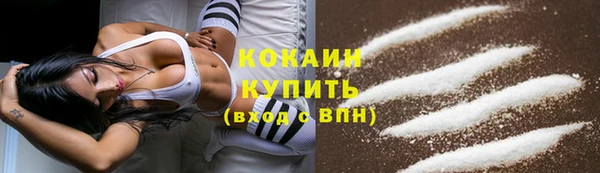 дмт Бронницы