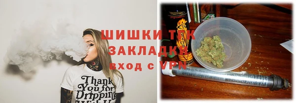 дмт Бронницы