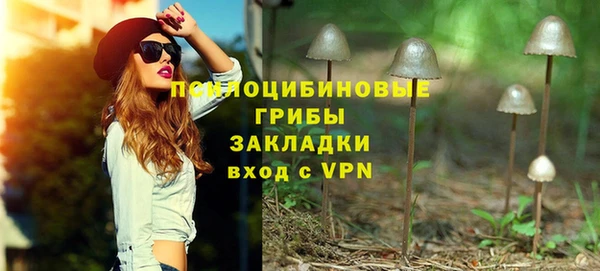 дмт Бронницы