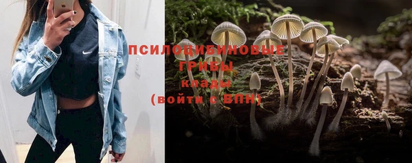 не бодяженный Бородино
