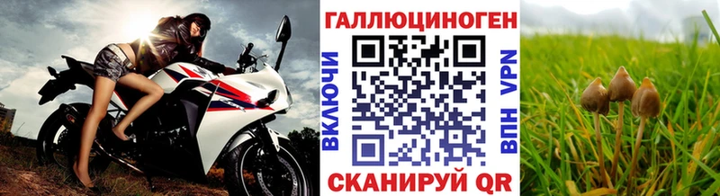 дарнет шоп Новопавловск Псилоцибиновые грибы мицелий